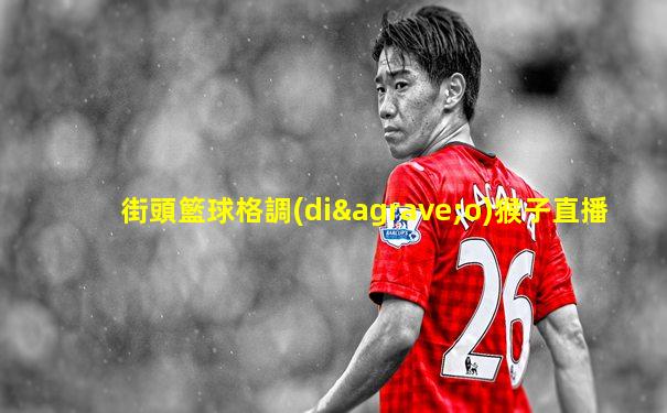 街頭籃球格調(diào)猴子直播